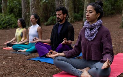 Wellness Retreat Unplugged: Mind, Meals & Mudras at Karma Belgaum