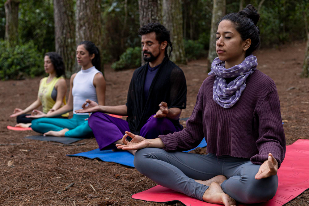 Wellness Retreat Unplugged: Mind, Meals & Mudras at Karma Belgaum