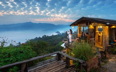 Why Treehouse by Karma Hospitality Is a Great Choice for All Types of Travellers
